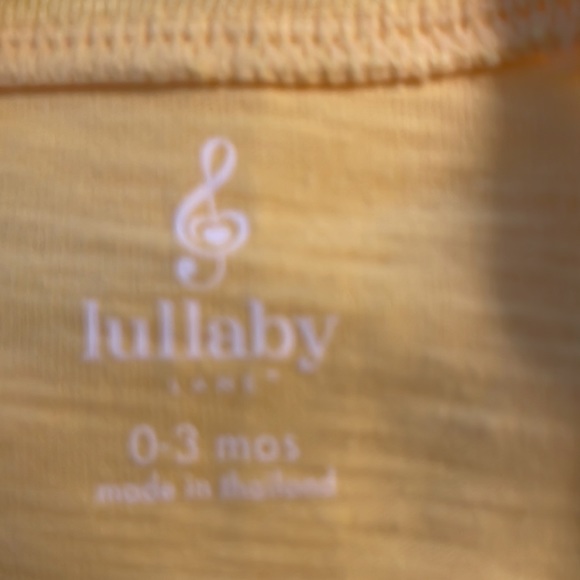 Two Piece Iguana Outfit - Picture 10 of 12